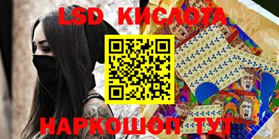 spice Кандалакша
