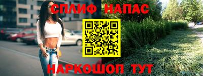 PSILOCYBIN Камышлов