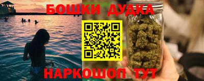PSILOCYBIN Камышлов